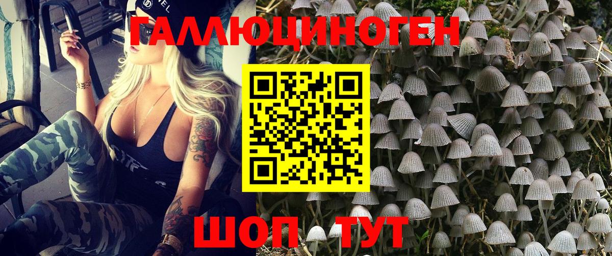 Каменск-Уральский  Псилоцибиновые грибы GOLDEN TEACHER  Вход с VPN 