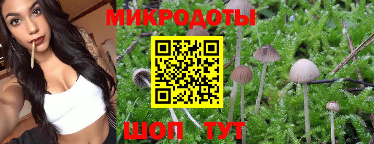 Псилоцибиновые грибы GOLDEN TEACHER Каменск-Уральский